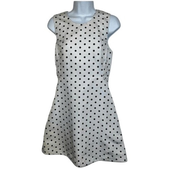 EXPRESS‎ White With Black Polka Dot Skater Dress Full Zip Back EUC 4 - Picture 1 of 8